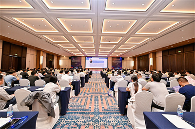 ICCCS 2025 Photo 2